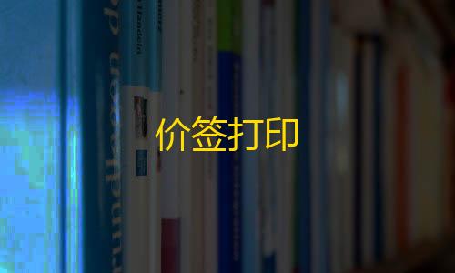 三角洲行动飞天软件价签打印